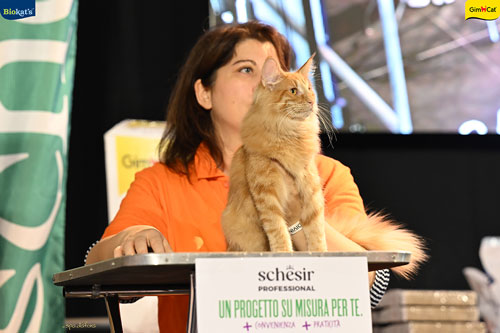 Stupinigi Cat Show
