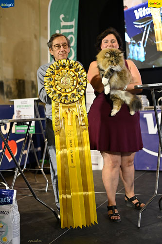 Stupinigi Cat Show