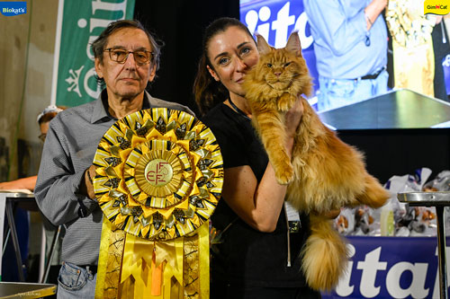 Stupinigi Cat Show