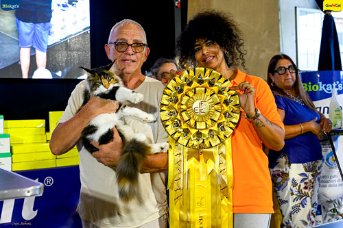 Stupinigi Cat Show
