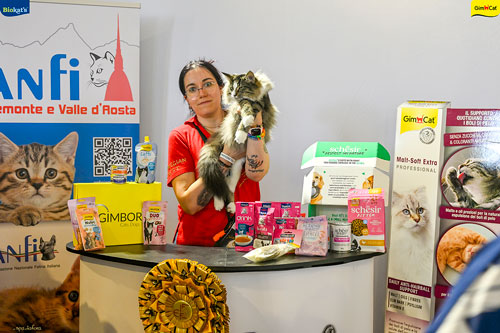 Stupinigi Cat Show