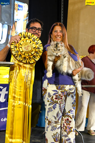 Stupinigi Cat Show
