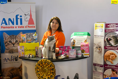 Stupinigi Cat Show