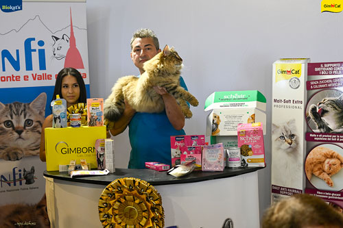 Stupinigi Cat Show