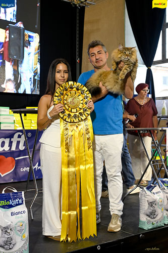 Stupinigi Cat Show