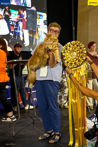 Stupinigi Cat Show
