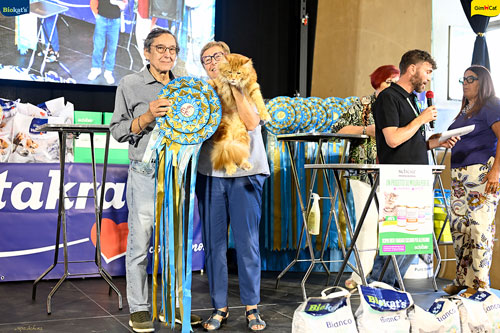 Stupinigi Cat Show