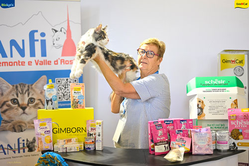Stupinigi Cat Show