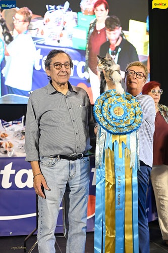 Stupinigi Cat Show