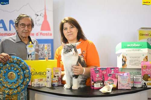 Stupinigi Cat Show