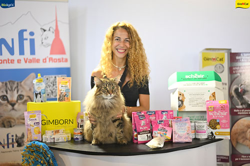 Stupinigi Cat Show