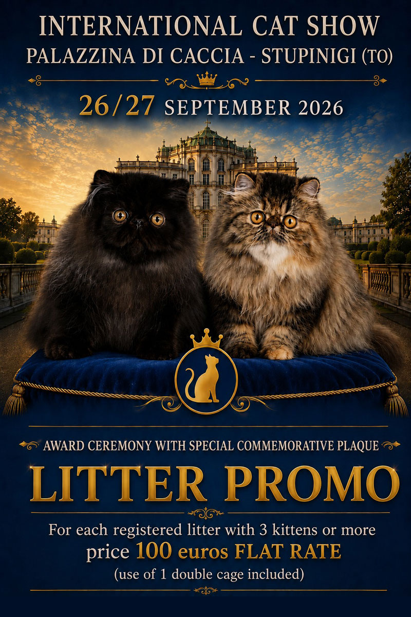 Promo Litter