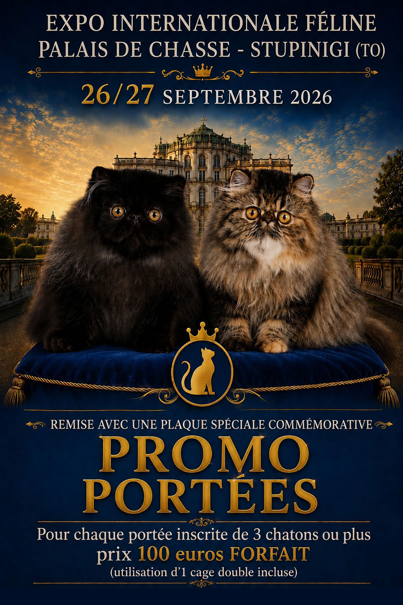 Promo Portéés